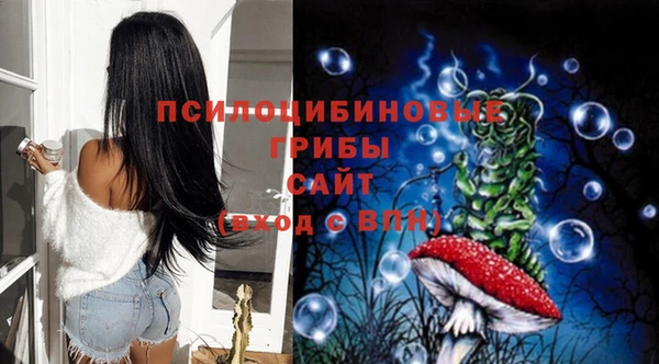кокс Аркадак