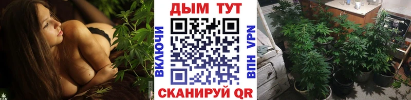 Бошки марихуана конопля Баймак